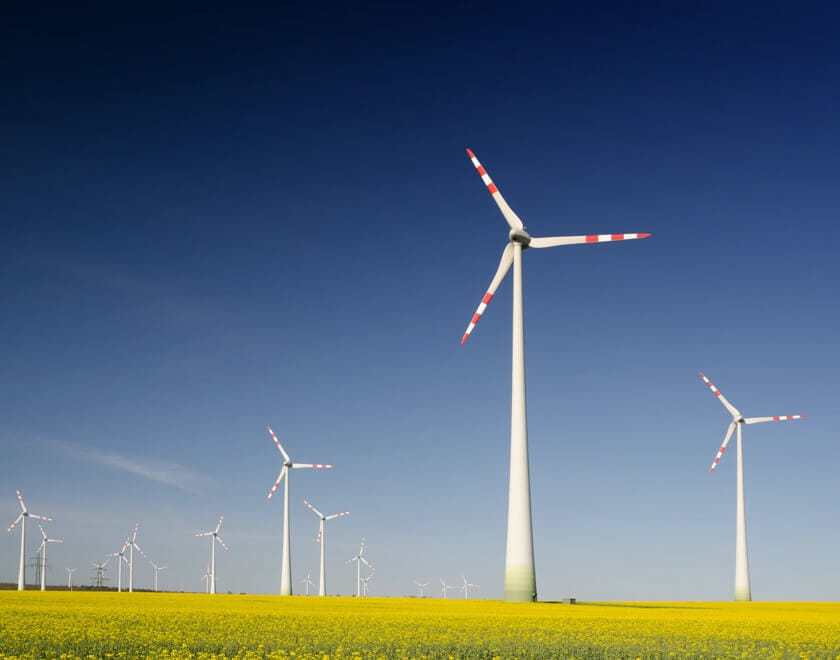 Wefact Default Image