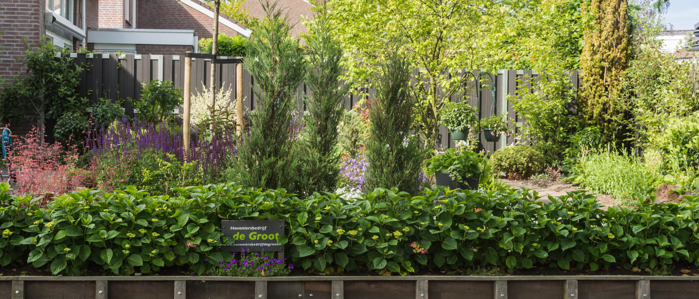 Wefact Default Image