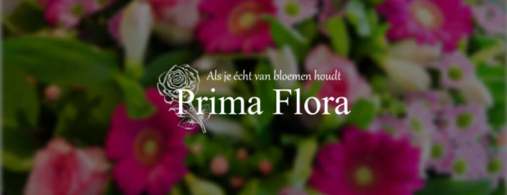 Wefact Default Image